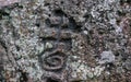 Ancient petroglyphs carved by the Carib tribes D